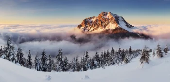 A snow-capped mountain peak rising above a sea of clouds