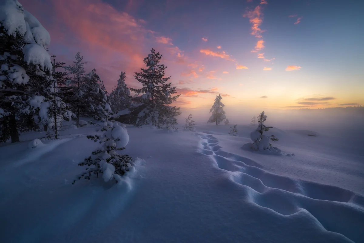 Footprints in the snow in the rays of the predawn sun