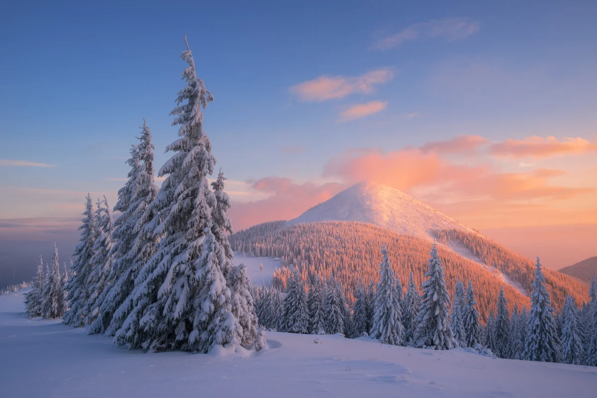A pink dawn over the snow-capped peaks of the Carpathians