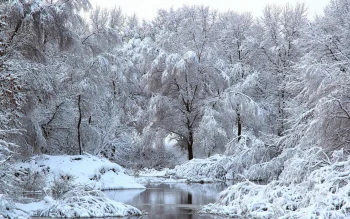 A snow-covered forest by a quiet river