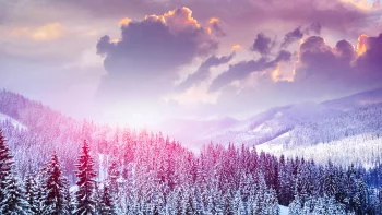 рожеве світло заходу сонця над засніженими ялиновими лісами, гори, вершини, пагорби, захід сонця, зима, зими, ліс, ліси, пейзажі, сніг, сніга, тумани, туман, хмари, ялини, хвойні дерева, природа