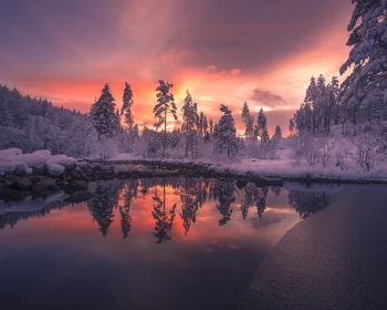 пылающий закат над заснеженным лесом и рекой, вечер, вечера, сумерки, ели, хвойные деревья, закаты, закат, зима, зимы, лед, льды, лес, леса, небо, отражения, пейзажи, реки, каналы, ручьи, снег, снега, природа
