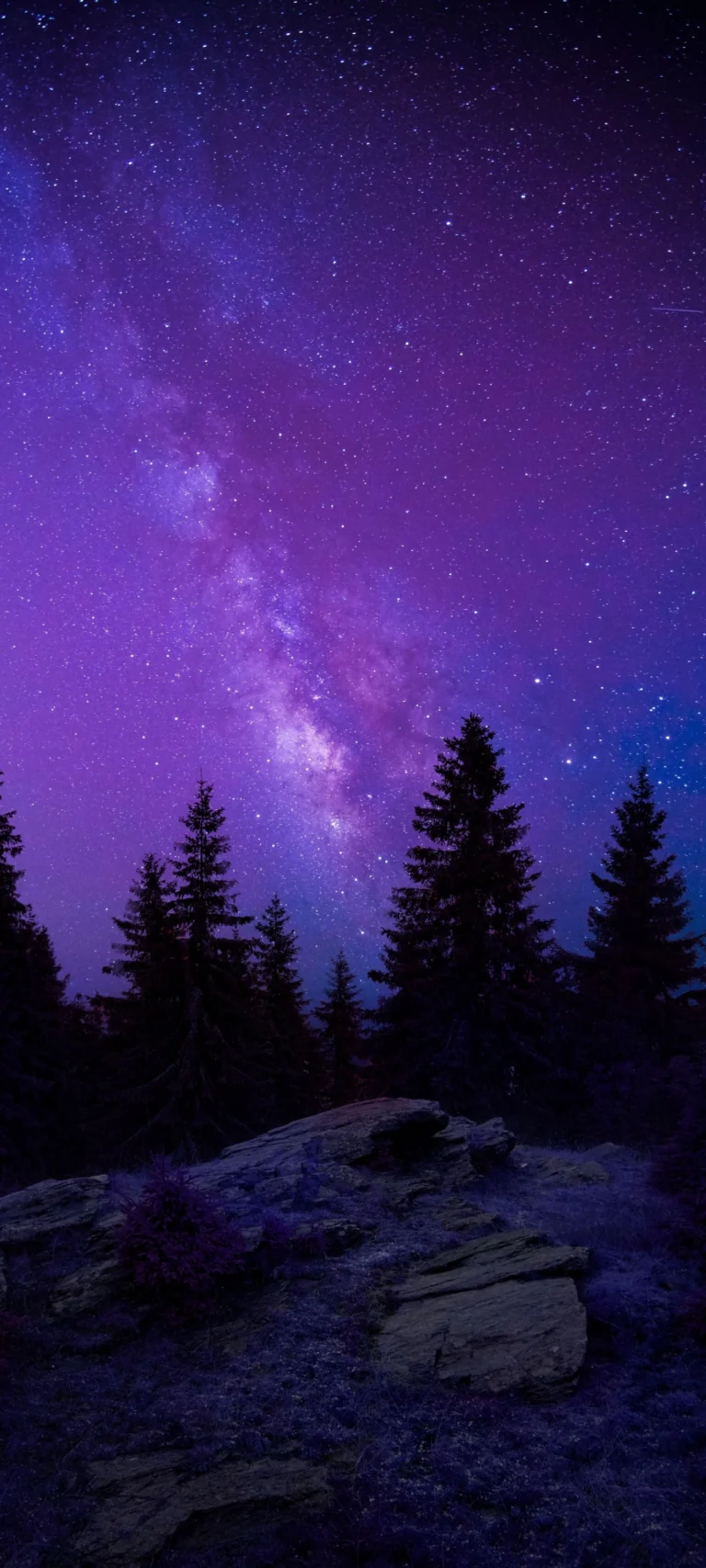 The Milky Way over a coniferous forest in shades of purple