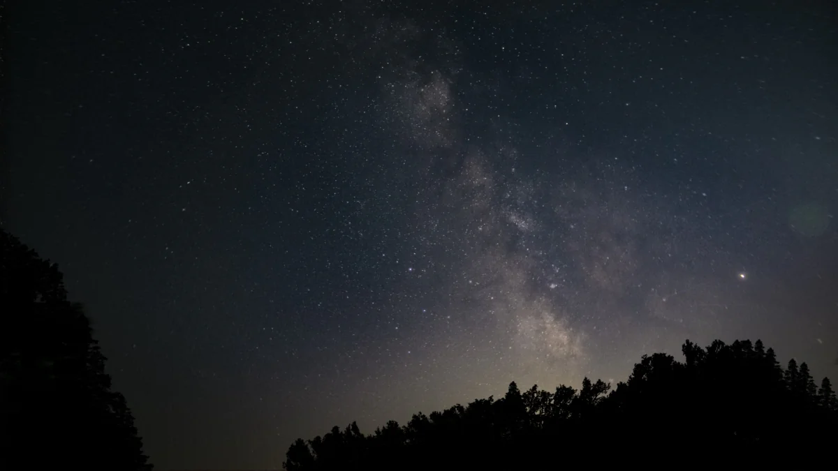 The Milky Way above the silhouettes of the trees