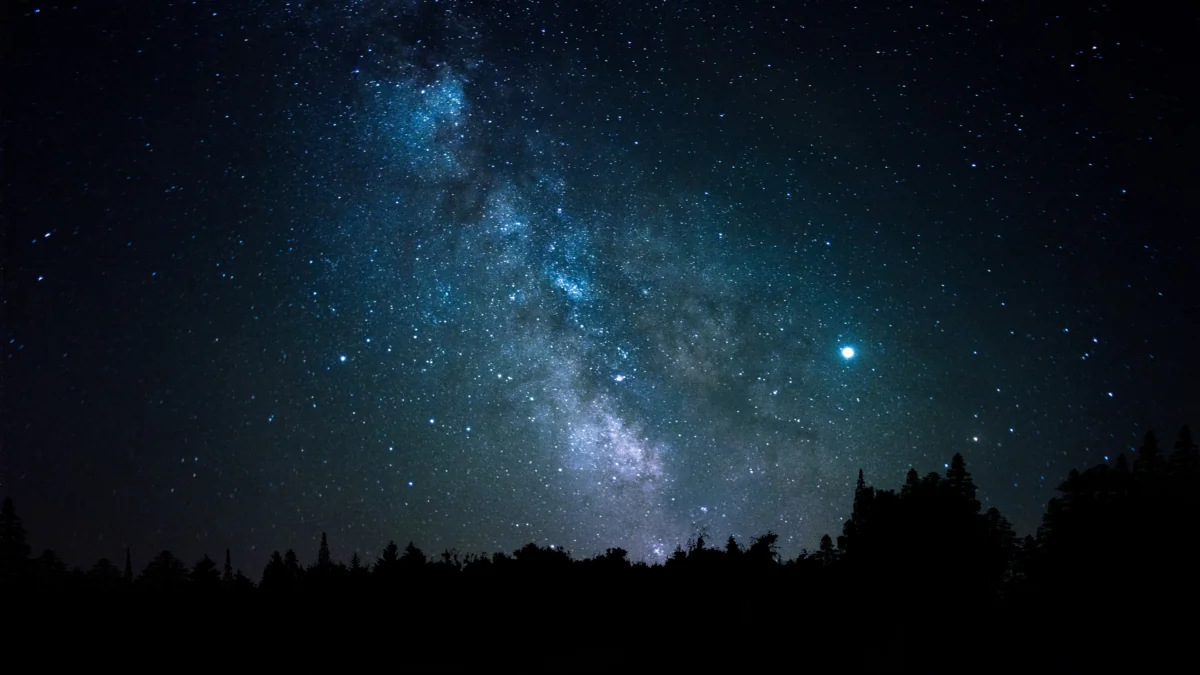 The Milky Way above the silhouettes of the forest horizon