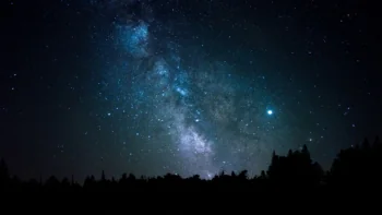 The Milky Way above the silhouettes of the forest horizon