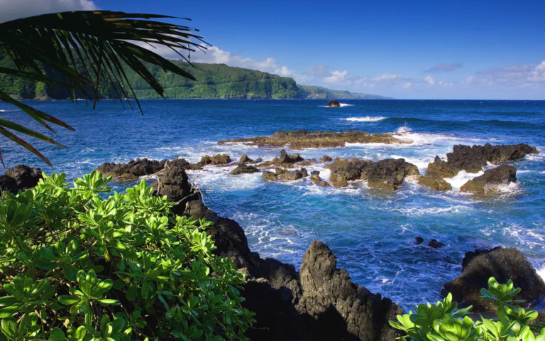 Hawaii's tropical coastline with volcanic cliffs