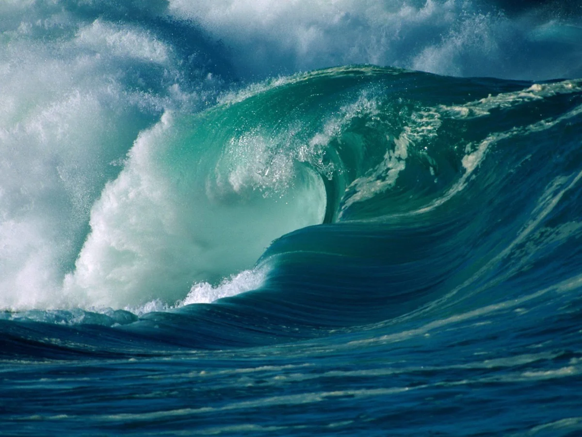 A powerful ocean wave off the coast of Hawaii