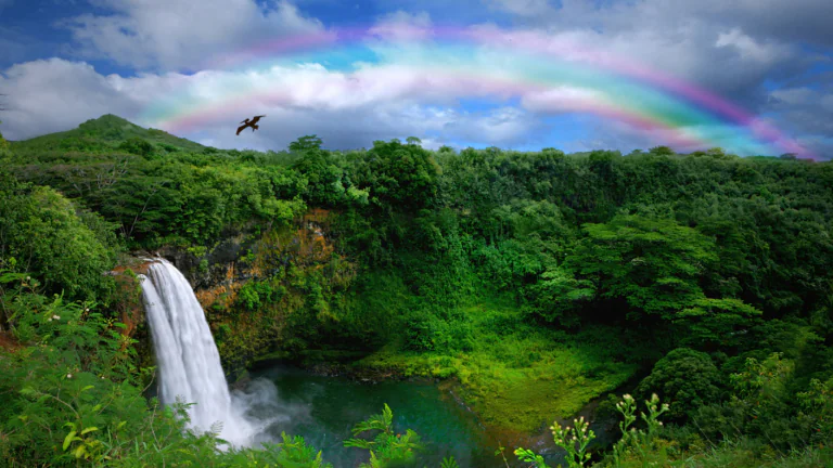 A rainbow over the Wailua Falls on the island of Kauai