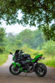 зеленый kawasaki ninja на лесной дороге в летний день, kawasaki ninja 650, kawasaki, кавасаки, деревья, дороги, пути, трассы, шоссе, магистрали, автострады, проспекты, проезды, лето, мотоциклы, байки, спортбайки, техника
