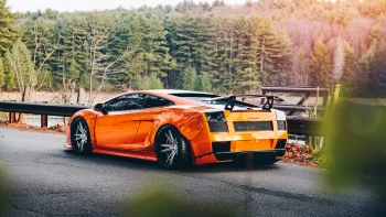 A bright orange Lamborghini Gallardo against the backdrop of an autumn forest