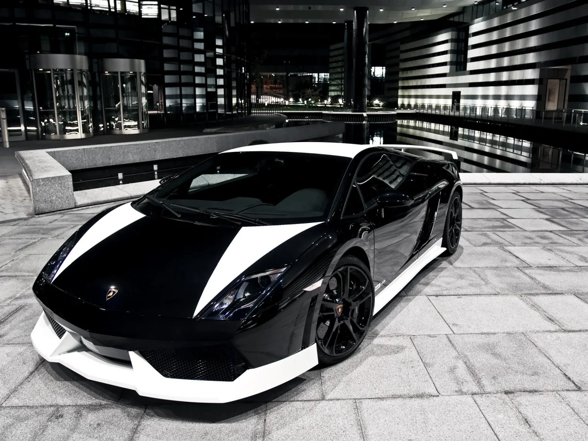 Черно-белая Lamborghini Gallardo на фоне ночного городского пейзажа