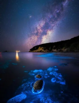 the milky way, beaches, coasts, galaxies, milky way, space, the universe, astronomy, planets, earth, the sun, stars, nebulae