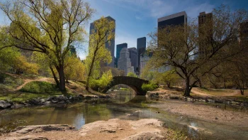 a spring day in central park, bridges, cities, city, cityscape, cityscapes, new york, parks, national parks, reflections, rivers, canals, streams, sky, skyscrapers, spring, trees, usa, united states, architecture, world