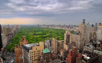 The lush greenery of Central Park, surrounded by New York City's skyscrapers