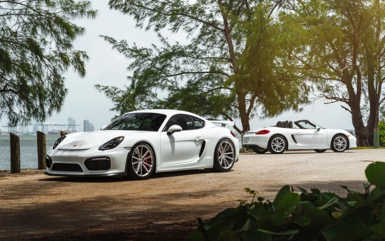 Porsche Cayman GT4 и Porsche Boxster на побережье в США