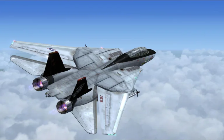 f 14 tomcat, f-14, авіація, винищувачі, літаки, сша, сполучені штати америки, техніка