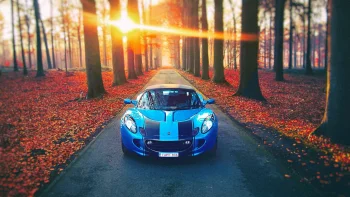 A blue Lotus Elise against the backdrop of an autumn-colored tree-lined avenue, bathed in the rays of the setting sun