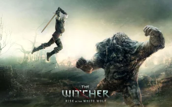 геральт атакует каменного голема, the witcher 2, the witcher, ведьмак, воины, геральт, магия, мечи, монстры, мутанты, фэнтези, игры