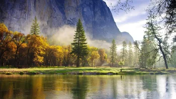 fog over the merced river at the foot of el capitan, autumn, autumns, california, cliffs, fog, forest, forests, landscapes, mountains, peaks, hills, nature reserves, wildlife reserves, parks, national parks, reflections, rivers, canals, streams, trees, usa, united states, yosemite, nature, world