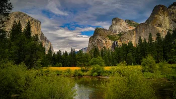 view of yosemite valley and el capitan, california, cliffs, clouds, forest, forests, herb, herbs, lawns, landscapes, meadows, mountains, peaks, hills, nature reserves, wildlife reserves, parks, national parks, rivers, canals, streams, usa, united states, yosemite, nature, world