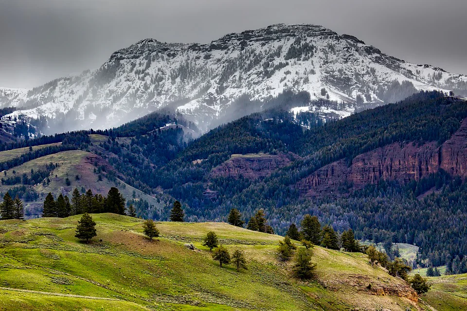 The Snow-Covered Slopes of Yellowstone