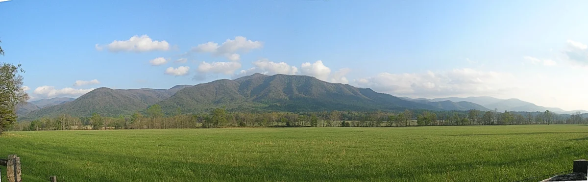 Зелені луки в Грейт-Смокі-Маунтінс