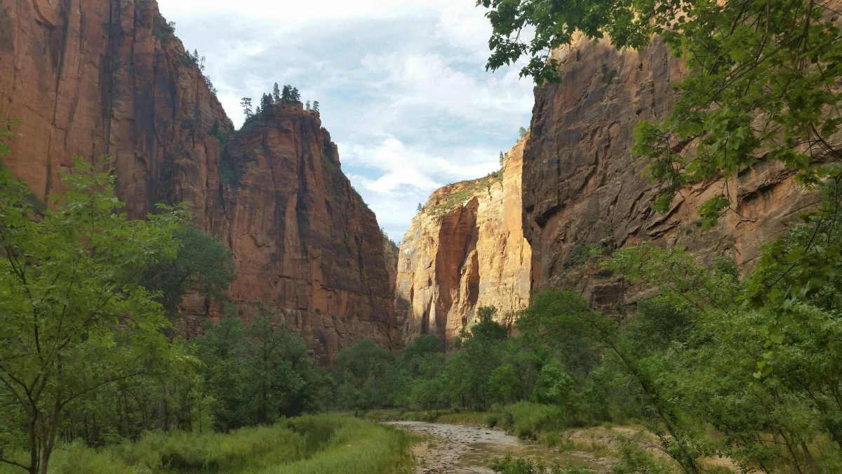 The Virgin River Canyon in Zion National Park