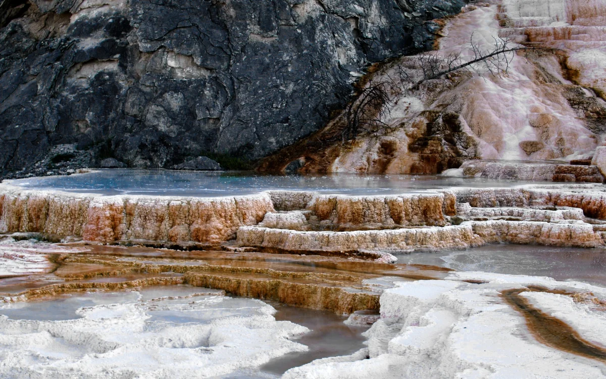 The Mammoth Hot Springs Terraces in Yellowstone