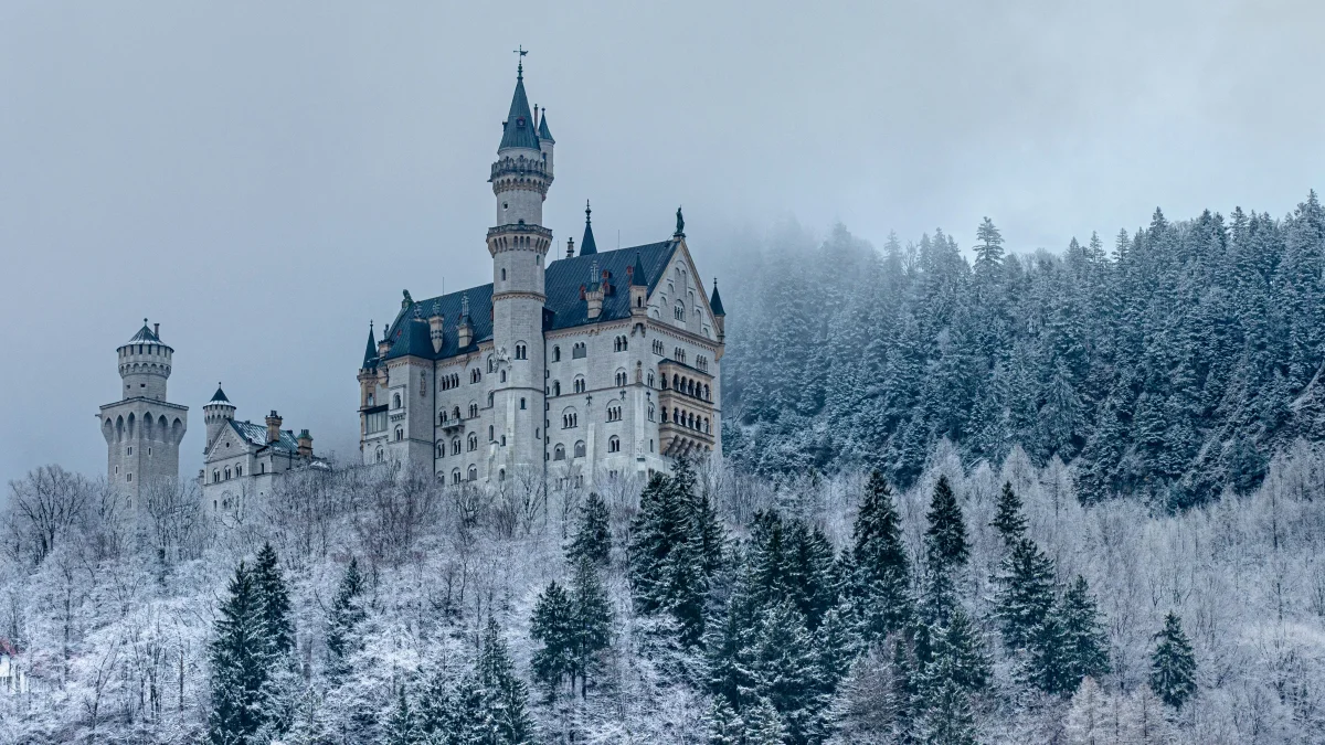 Neuschwanstein Among the Fir Trees